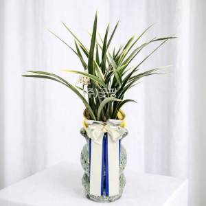 황룡금(투각분)