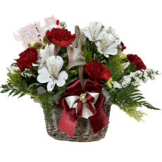 감사합니다(카네이션)