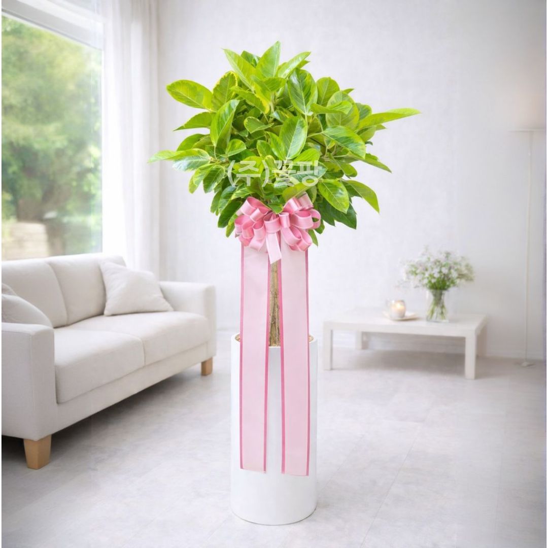 뱅갈고무나무(E)