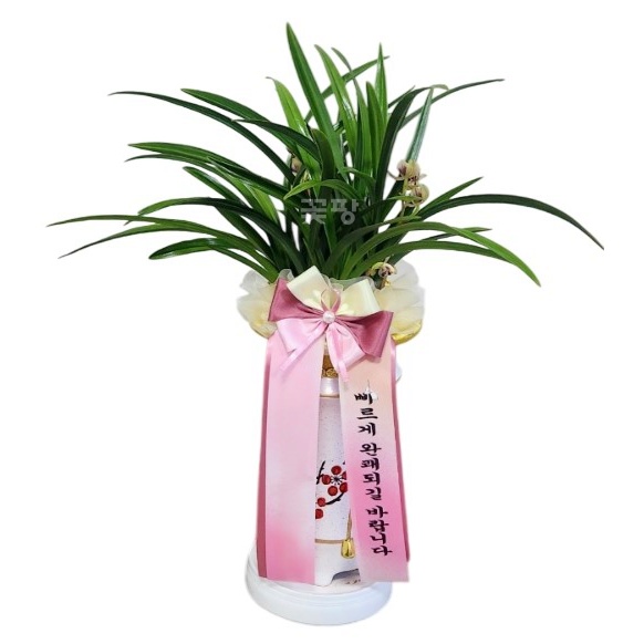 바인빈티지(일향금)